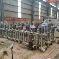 Presse à huile hydraulique à chaud et à froid en acier inoxydable pour sésame, noix et olive