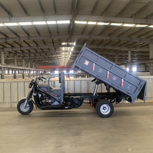 Tricycle Moteur Cargo WANGHU <span class=keywords><strong>200cc</strong></span>, Camionnette Motorisée à Essence, Modèle Ouvert pour l'Exportation, Scooter à Moteur à Gaz – À Vendre en Chine - Product Image 3