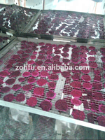 Fruit Mango Dehydrator Bananen Droogmachine en Voedsel Dehydrator Vriesdroogmachine 100 kg voor Fruit en Groente
