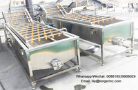 Industriële Groente-en Wasmachine Data Reinigingsmachine Voor De Data Cleaning