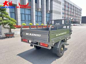 Venta Directa de Fábrica, Motocicleta de Carga de 3 Ruedas, KAINIU KING <span class=keywords><strong>DRAGON</strong></span> 250CC, Motor de Gasolina Refrigerado por Agua, Pesada, Abierta, Gran Oferta 2025 - Product Image 5