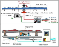 Convoyeur à Rouleaux Dynamique de Haute Précision avec Balance Intégrée, Moteur en Acier Inoxydable et Alliage d'Aluminium, Puissance 300KW, 220V/380V