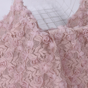 Exquis <span class=keywords><strong>de</strong></span> haute qualité 3d rose brodé <span class=keywords><strong>tissu</strong></span> <span class=keywords><strong>de</strong></span> dentelle <span class=keywords><strong>de</strong></span> mariée <span class=keywords><strong>En</strong></span> <span class=keywords><strong>Ligne</strong></span> Offre Spéciale - Product Image 3
