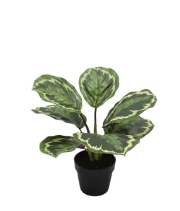 25Cm Single Order Real Touch Calathea Indoor Plants With Pots Artificial Plants