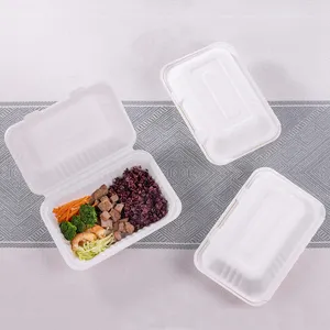 3 Kompartemen Wadah Makanan Kulit Kerang Sekali Pakai Bagasse Dicetak Serat Kemasan Kotak Takeout Biodegradable