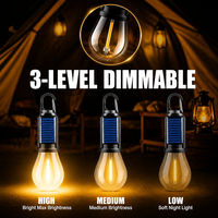 Lanterne solaire LED pour le camping, étanche, lumière d'ambiance pour barbecue, rechargeable par USB, boîtier en ABS