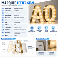 Lettres lumineuses LED personnalisées pour portail de campus universitaire, enseigne rétro à ampoules, nom et logo personnalisés, panneau de support en aluminium composite