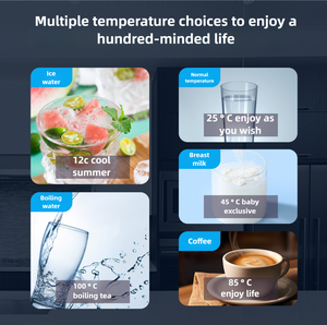 Distributeur d'eau purifiée pour comptoir, fabrication OEM |   Filtration multi-étapes Chauffage instantané B2B Conception personnalisée Bureau Hôtel Double I - Product Image 4