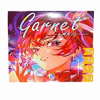 Garnet MK.II Professional Violin Strings Durable Nylon EADG German Imported Material Free Shipping