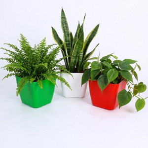 Modern Square PP Plant Pot Size 13.5 x 13.5 x 12 cm Green White Red Color Rounded Corner Flower Planter for Indoor Outdoor - Product Image 2
