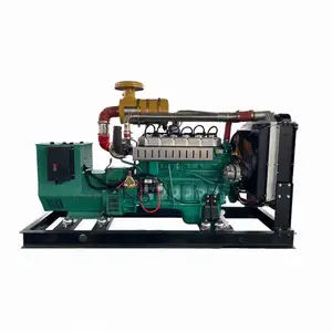 Hot Sale Gas Generator Turbine 20-200kw LPG/Biogas/Natural Gas Generator with Open/Silent Type
