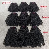 Letsfly Extensiones de Cabello Virgen 11A de Alta Calidad, Doble Trama, Cutícula Alineada, Paquetes de Cabello Brasileño Fumi Loose, Pissy Rose