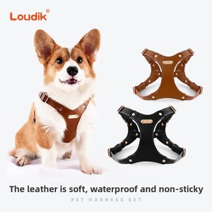 Loudik Bán Buôn Mềm Da Con Chó Vật Nuôi Khai Thác Dây Xích Con Chó Đi Bộ Dây Corgi Kích Thước Nhỏ Con Chó Cross-Biên Giới - Product Image 2