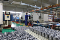Roulements à rouleaux de support importés NUTR 15 17 20 30 35 40 45 50 PP-A Lubrifiés à l'huile, joints ouverts, haute qualité, Chine