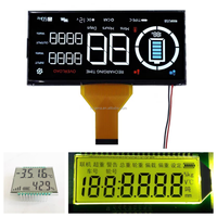 Wholesale Gena Brand Custom FSTN LCD Display for Motorcycle Use Zhejiang Origin Customizable Size Includes PIN FPC Conductive