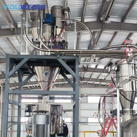 Système de Dosage et de Conditionnement de Poudres Sèches Personnalisé avec Mesure de Poids par Gain-in, Convoyage Pneumatique et Lotiment d'Assaisonnements