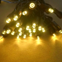 Braune 5mm Mini-LED-Lichterkette Weitwinkel Weihnachtsbeleuchtung Hochwertige Außenbeleuchtung IP65 Wasserdichte Weihnachtsbaum-Lichter