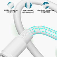 Kabel Data USB Kustom Pabrik 120W 6A Pengisi Daya Cepat Arus Tinggi Kabel Data Aman Kabel Pengisi Daya Cepat untuk Perangkat Pintar Kantor