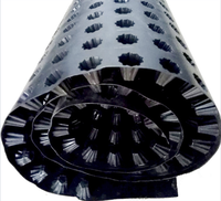 Planche de drainage pour toiture verte en HDPE, système d'étanchéité et de drainage pour jardins scolaires et drainage routier haute densité