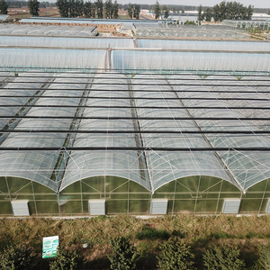 Grande serre commerciale multi-chapelles à toiture vitrée, structure en acier connectée par caniveaux pour l'agriculture de légumes et de fruits à haut rendement Skyplant - Product Image 4