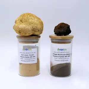 有機Hericium Erinaceusエキスパウダーライオンのたてがみキノコエキス