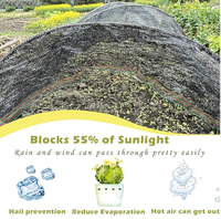 Filet agricole de qualité supérieure en HDPE/PE/plastique anti-grêle/anti-oiseaux/anti-UV pour fermes et cultures