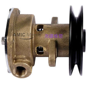 Conjunto de Bomba JMP JPR-KL101P, Bomba de Agua de Mar Cruda para Barcos, Eje de Acero Inoxidable, Teoría Centrífuga - Product Image 4