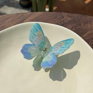 Pince à Cheveux Élégante pour Femme – Accessoire Haut de Gamme en Plastique avec Magnifique Motif Papillon – Vente en Gros - Product Image 6