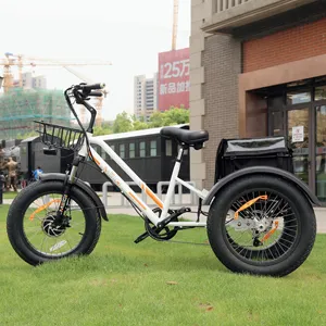 Meigi Beste Prijs Elektrische Driewielers 3 Wiel Vet Banden Elektrische Cargo Bike Volwassenen Voor Usa Magazijn Voorraad