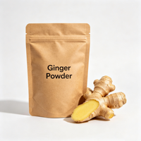 Poudre d'extrait de gingembre de qualité alimentaire, fournie par l'usine, pour le thé