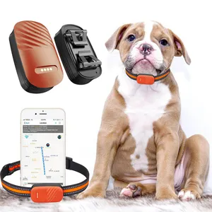 Vente chaude étanche 4G GPS Pet Dog Activité Health Care Tracker Distance illimitée Pas d'abonnement Suivi à distance en temps réel