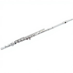 Vente d'usine Flûte <span class=keywords><strong>traversière</strong></span> <span class=keywords><strong>à</strong></span> 16 trous en Do Corps en cupronickel Plaqué argent Instrument de musique - Product Image 1