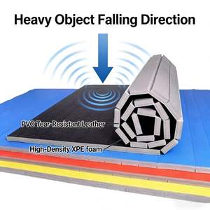 Tapis <span class=keywords><strong>de</strong></span> grappling personnalisables pour les sports <span class=keywords><strong>de</strong></span> <span class=keywords><strong>combat</strong></span>, conception haute performance pour les dojos et les salles <span class=keywords><strong>de</strong></span> sport - Product Image 3