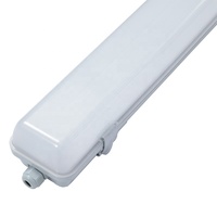 Luminaire linéaire LED étanche DC24/48V pour tunnel de métro, magasin, usage d'urgence, 1,2m 5000K IP65 avec fonction de gradation par capteur