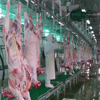 Equipo de matadero de cabras Ritual para planta de proceso de carne de matadero de cordero