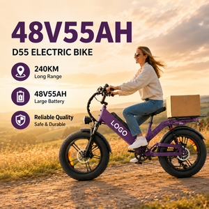 Bicicleta Eléctrica OEM D55 de 20 Pulgadas, Batería de Litio de 48V55Ah, Bicicleta de Carretera Eléctrica de Aleación de Aluminio, Sensor de Torque, Bicicleta Eléctrica Urbana - Product Image 1