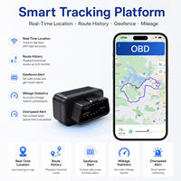 Rastreador GPS GSM WiFi 4G LTE con Logotipo Personalizado, Impermeable, Plug & Play, con Aplicación Android para Monitoreo de Datos OBD II del Vehículo
