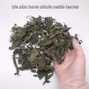 Thé aux feuilles <span class=keywords><strong>d</strong></span>'ortie naturelles broyées L099 Xun Ma Ye, très vendu, Folium Urticae, thé aux feuilles <span class=keywords><strong>d</strong></span>'ortie coupées - Product Image 5