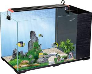 Penjualan laris kaca portabel desktop tangki ikan mini kaca tangki ikan akuarium - Product Image 5