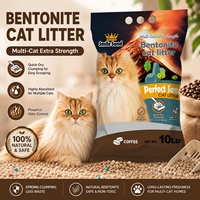 Litière pour chat en bentonite sans poussière, parfum café, contrôle des odeurs, marque privée, OEM, vente en gros