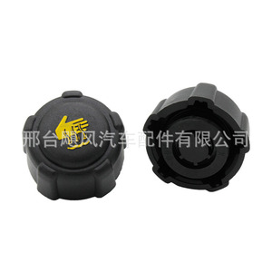 Nissan <b>Radiator</b> <b>Cap</b> 21430-AX30A OE8200048024 For Qashqai Opel Renault - Product Image 5