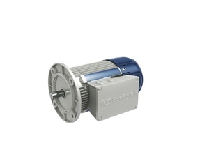 Motor Baldor AC, Motor de Corriente Alterna BALDOR - Product Image 5