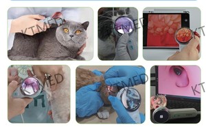 獣医用耳鏡診断セット 動物耳検査キット（ワニ口鉗子＆耳垢除去器付き）獣医診断ツール - Product Image 4