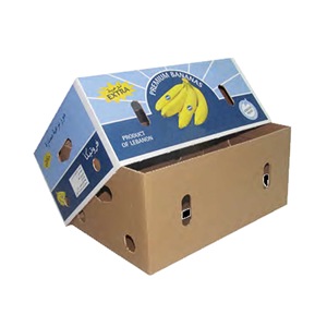 Bán Buôn Durable Sóng Chuối Trái Cây Đóng Gói Vận Chuyển Hộp Carton - Product Image 2