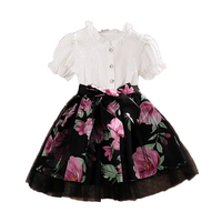 Robe florale pour enfants, robe à manches bouffantes pour filles, corsage blanc, jupe tutu à imprimé rose, boutique pour enfants, tenue de fête d'été, vente en gros