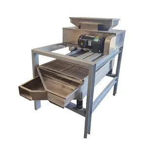 Hazelnut Dicing Walnut Crusher Pistachio Crushing Almonds Cutter Peanut Chopping Cashew Nut Cutting Machine