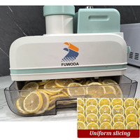 Multifunctionele automatische snijmachine, golvende chips snijder, aardappel, citroen, wortel snijder