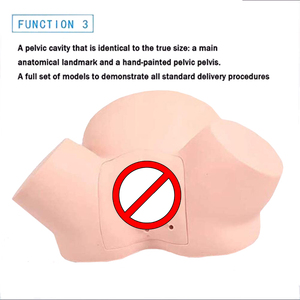 Simulador de Entrenamiento Avanzado en <span class=keywords><strong>Obstetricia</strong></span>, Maniquí de Parto para Enfermería Ginecológica - Product Image 6
