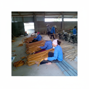 Palos de Madera Ecológicos Desechables para Fregonas y Escobas de la Marca KEGO, de Eucalipto, 120 cm de Largo, 2.2 cm de Diámetro, Recubiertos de PVC, Vietnam - Product Image 1