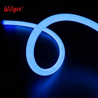 Ruban LED néon professionnel D18, durée de vie de 50 000 heures, effet d'éclairage à 360°, étanche IP65, silicone, garantie 5 ans, pixels RGB, hôtel